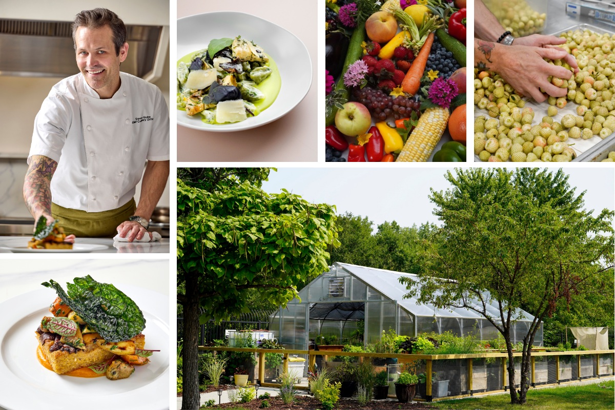 a collage image of Paramount Events farm selected vegetables, onsite green house, vegetable-forward dishes, and chef devon quinn
