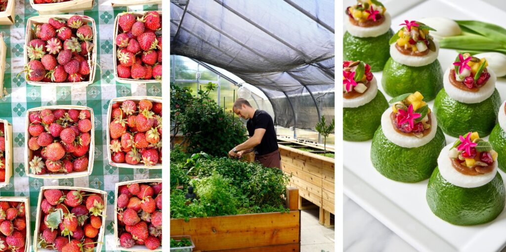 What It Means to Be a Sustainable Caterer in Chicago