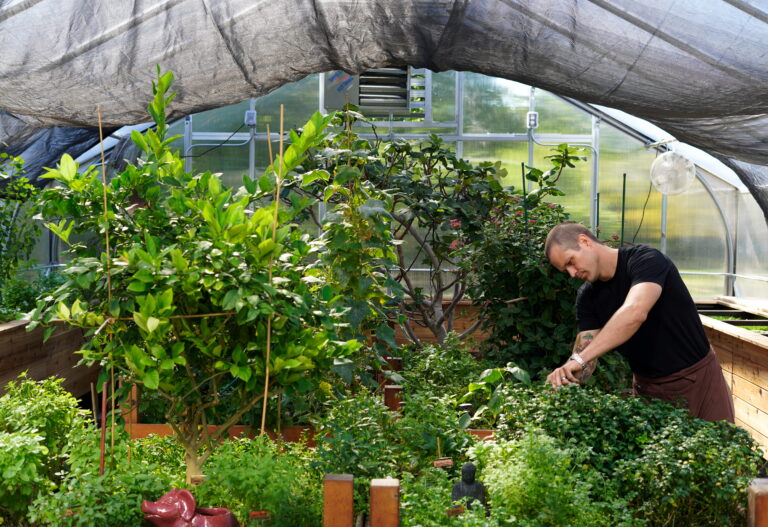 SUSTAINABILITY AS A STANDARD